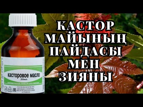 Видео: Кастор майының пайдасы мен зияны | Кастор майы АҒЗАҢЫЗДЫ ТОЛЫҚ ТАЗАЛАЙДЫ МА әлде МИФ ПА?