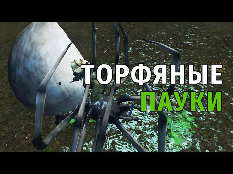 Видео: 108. Торфяные Пауки. Сталкер Онлайн | Stalker Online | Stay Out. RU2.