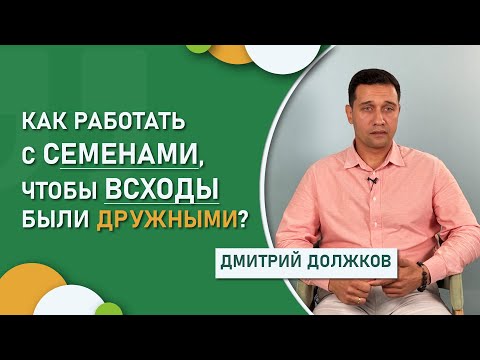 Видео: Как работать с семенами, чтобы всходы были дружными? | Глава ГК «Должков знает»