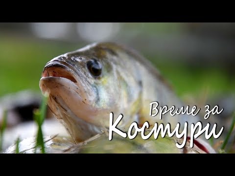 Видео: Време за костури