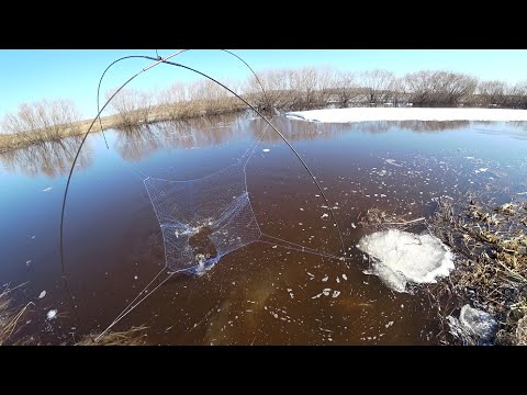 Видео: Воды все больше. Караси и щуки на паук подъёмник.Бирюзовая мечта опять не подвела.