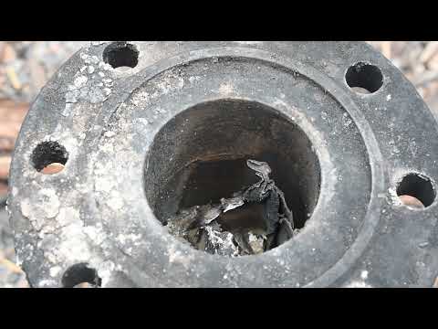 Видео: Сплав по реке Ухта и прогулка по лесу