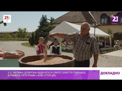 Видео: У с. Велика Добронь відбулося свято злиття пшениці в рамках програми «Хліб угорців»