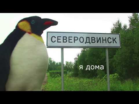 Видео: 36 - сезон путешествий 2025  (ч. 2)
