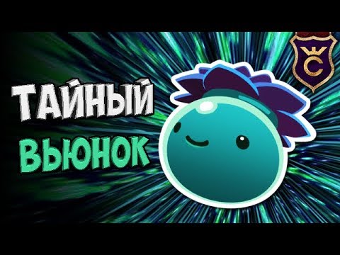 Видео: САМЫЙ КРАСИВЫЙ БЕЛЛАДОННА ВЬЮНОК ЛАРГО СЛАЙМ ∎ Slime Rancher #350