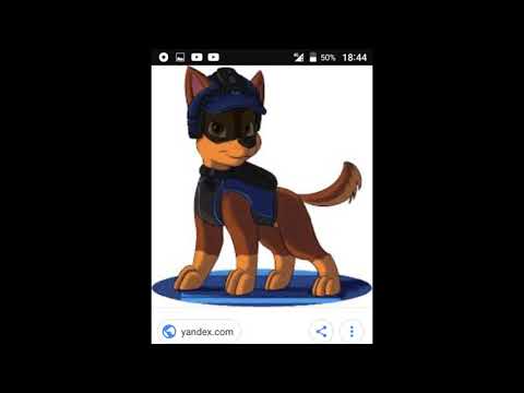 Видео: Гончик