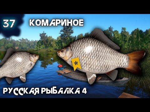 Видео: Русская рыбалка 4 - Трофейный Карась на Комарином ! [#37]