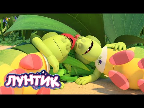 Видео: Лунтик 🐛 Уснули 😴😴😴 Мультики для детей