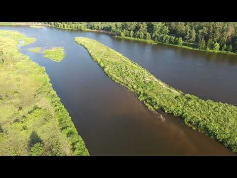 Видео: Река Неман в июле 2017 года, в районе деревни Шавдини. Гродненская область, Беларусь