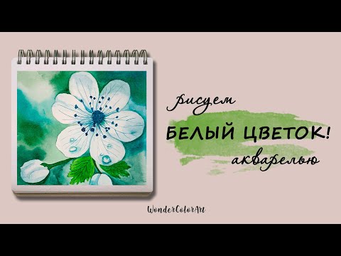 Видео: ВЕСЕННИЕ ЦВЕТЫ АКВАРЕЛЬЮ! / капли росы