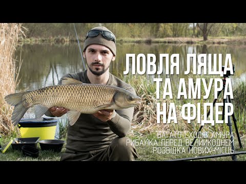 Видео: Весняний фідер в місті. Ловля ляща. Фідерна рибалка в квітні