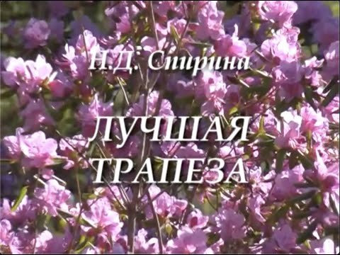 Видео: ЛУЧШАЯ ТРАПЕЗА. Наталия Спирина