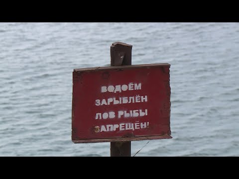 Видео: В Апанасенковском округе рыбаки не могут рыбачить в местном водоёме