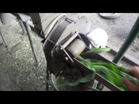 Видео: Измельчитель кукурузы,травы и корнеплодов.