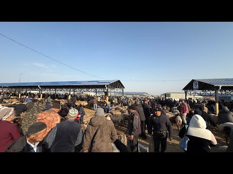 Видео: Кой базар сокулук мал базары 19- октябр