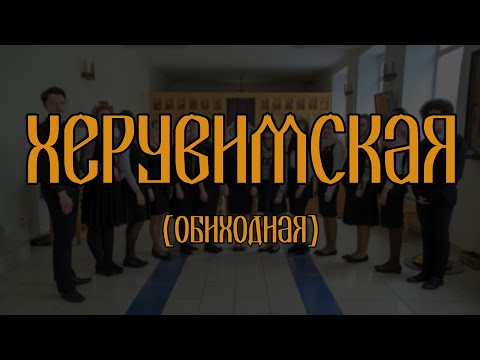 Видео: Херувимская обиходная // спевка // детский хор