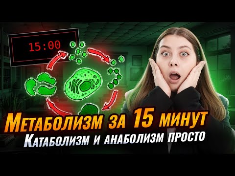 Видео: Мы то, что мы едим | Все про метаболизм за 15 минут | Биология ЕГЭ | Умскул