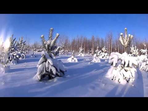 Видео: Охота на снегоходе.