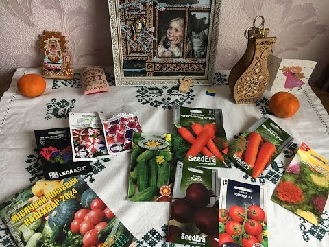 Видео: Город для душі  Купила ще трохи насіння Посіяла петуніі