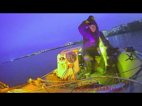 Видео: 7 ноября 2025 г.