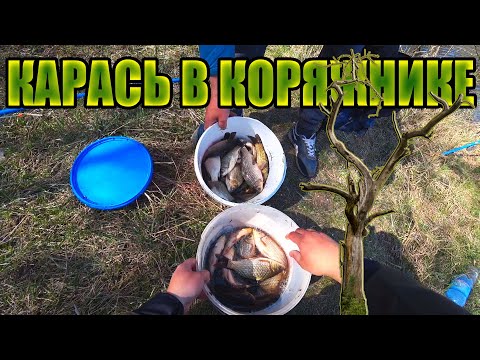 Видео: КАРАСЬ в КОРЯЖНИКЕ на БОКОВОЙ КИВОК