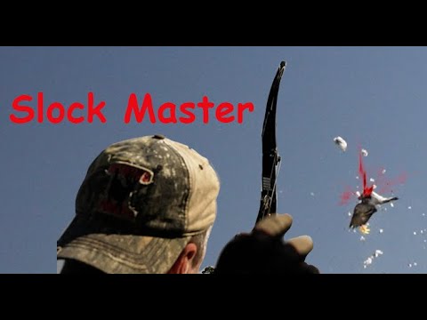 Видео: Angry Bird, Big Rabbit... Потрясающая стрельба из лука