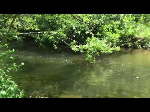 Видео: Река Велека в горното течение 19/05/25
