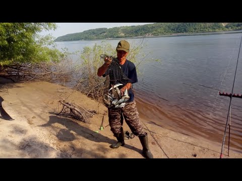 Видео: 29. 05. 21.Волга. Чехонь и Сорога. Ловлю на  фидер. Рыбнадзор не дремлет.