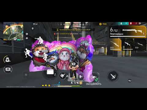 Видео: 3 ноября 2025 г.