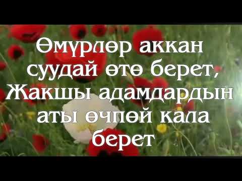 Видео: 2 ноября 2025 г.