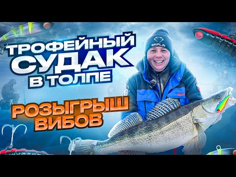 Видео: СУДАК НЕ ЛЕЗЕТ В ЛУНКУ! ПОЙМАЛ МОНСТРА В ТОЛПЕ.