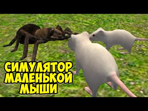 Видео: 😍СИМУЛЯТОР МЫШИ🐭Супер мышь против паука🐭сим мышонка