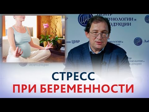 Видео: СТРЕСС при БЕРЕМЕННОСТИ. Чем ОПАСЕН хронический СТРЕСС для беременности и развития плода.