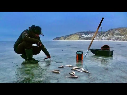 Видео: Кременчуцьке водосховище ПЛОТВА 2024! Максимівка ВІДКРИТТЯ!