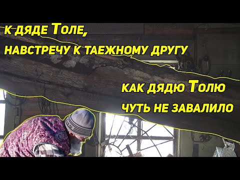 Видео: К дяде Толе На встречу к Таежному Другу Часть 2 Как дядю Толю чуть не завалило.. =(