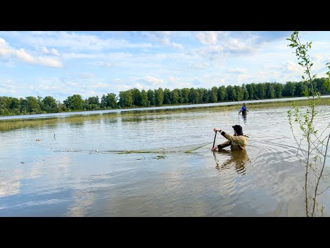 Видео: 100кг РЫБЫ ЗА ЧАС! УДАЧНАЯ РЫБАЛКА НА НЕВОД. РЕЗУЛЬТАТ УДИВИЛ, НЕВОД СИЛА #невод #рыбалка #мегаулов