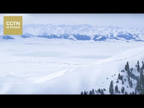 Видео: Китай с птичьего полета Серия 1 Синьцзян Часть 1 [Age 0+]