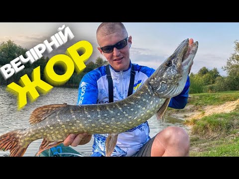Видео: Вечірній ЖОР ЩУКИ! Реальна БОРОТЬБА Із ЩУКОЮ!