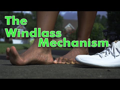 Видео: Механизм лебедки (Потрясающий секрет атлетизма)