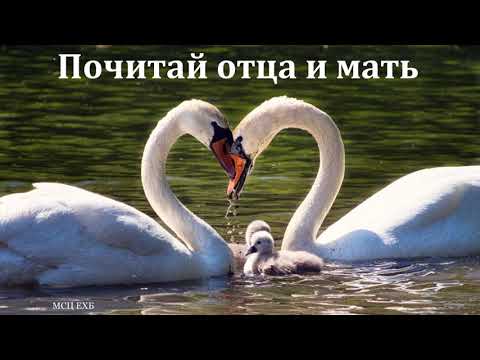 Видео: "Почитай отца и мать". Д. Д. Конкин. МСЦ ЕХБ