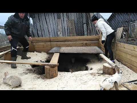 Видео: Жизнь кроликов весной в вольере/прибавление в хозяйстве