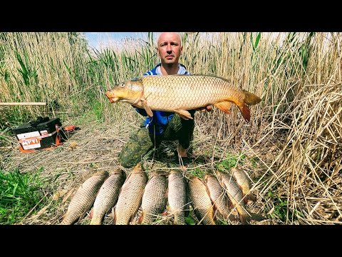 Видео: Вот это рыбалка!! Сазаны на каждом забросе! Рыбалка на паук 2022. Рыбалка с лодки. Рыбалка 2022.