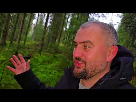 Видео: Поход за грибами , попытка номер два)))