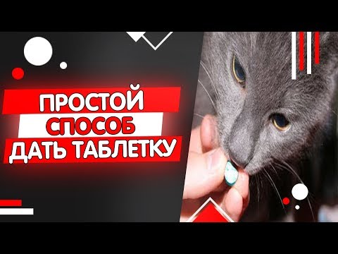 Видео: Как дать коту таблетку от глистов, как часто давать таблетки от глистов