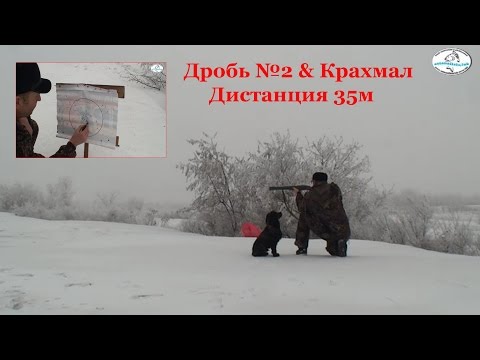 Видео: Тест кучности дроби & крахмал