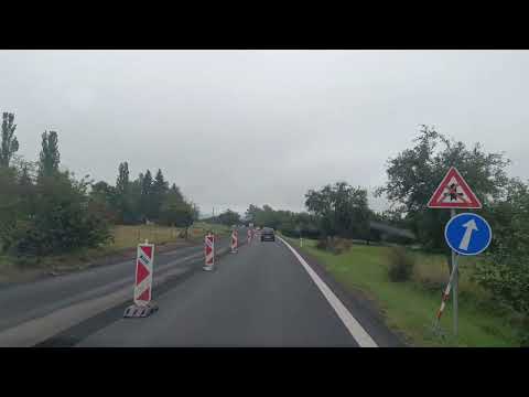 Видео: Кто-то выращивает курей на Манхеттене, кто-то гусей в Чехии.