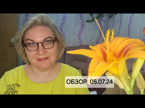 Видео: Обзор. Советы Артёму от практикующей на@бательницы❗️