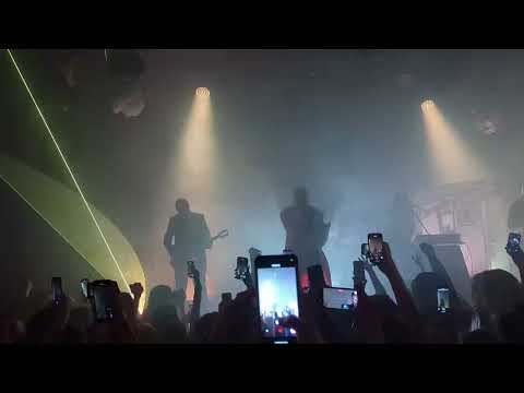 Видео: Хаски - сколько стоят деньги? live. 2025