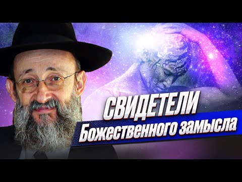 Видео: Свидетели Божественного замысла. Рав Ашер Кушнир
