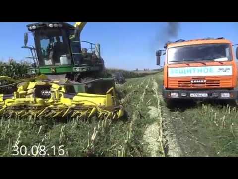 Видео: Кукуруза на силос! От сева до уборки 2016 год.